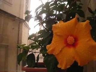 Leccesalento